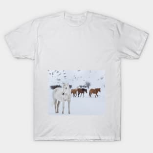 Horses in the snow T-Shirt